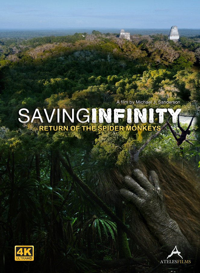 Saving Infinity: Return of the Spider Monkeys - Cartazes