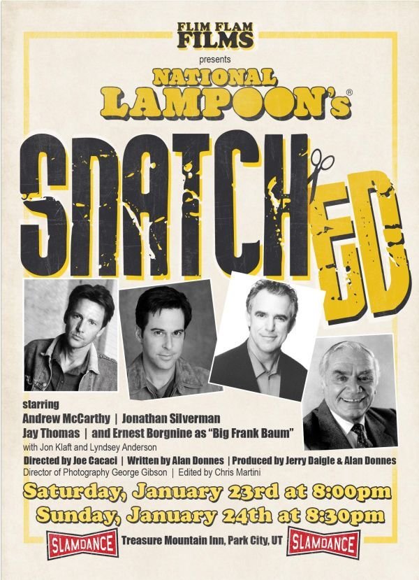 Snatched - Affiches