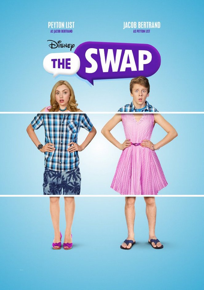 The Swap - Affiches
