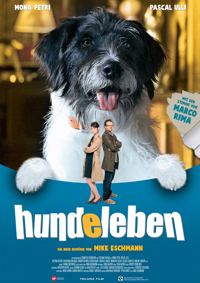 Hundeleben - Plakate