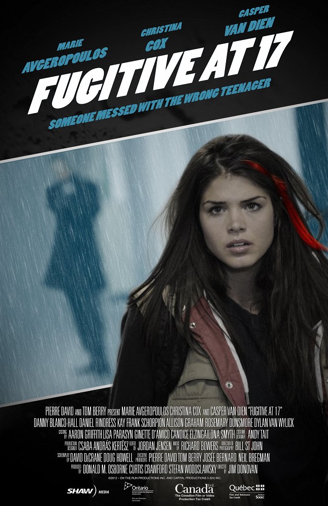 Fugitive at 17 - Posters