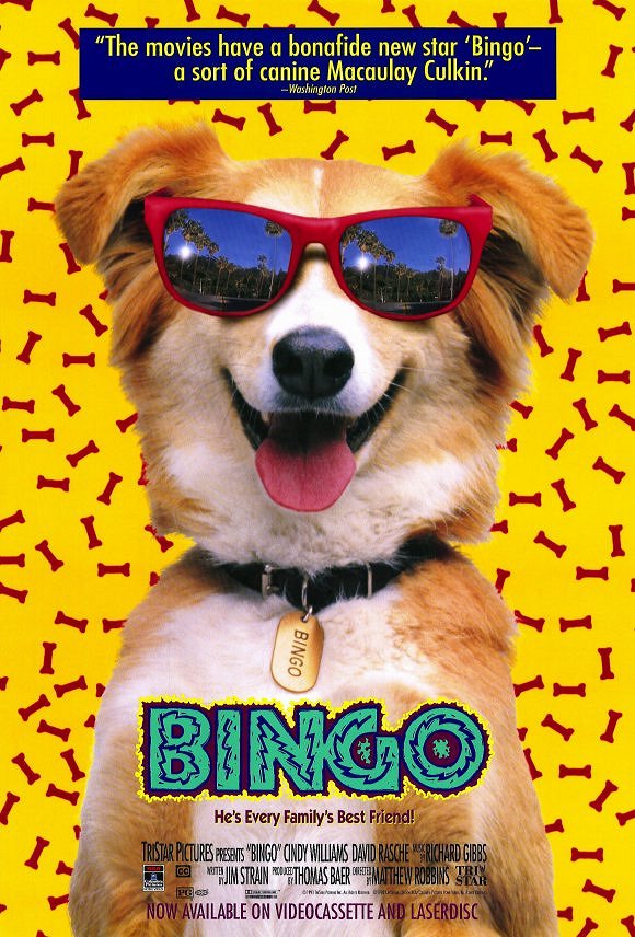 Bingo - Plakaty