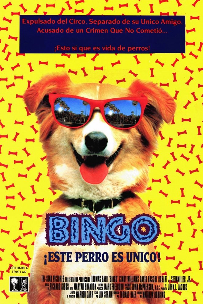 Bingo - Carteles