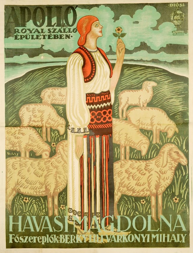 Havasi Magdolna - Plakate