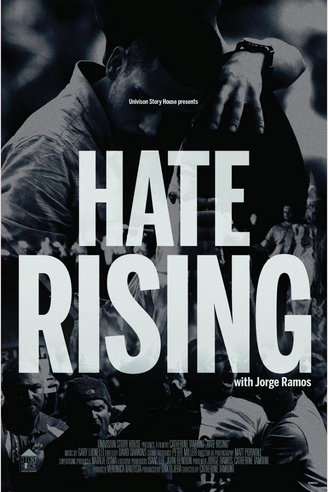 Hate Rising - Affiches