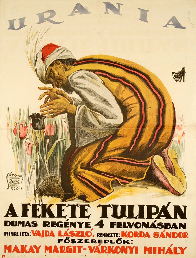 Fekete tulipán - Plakate