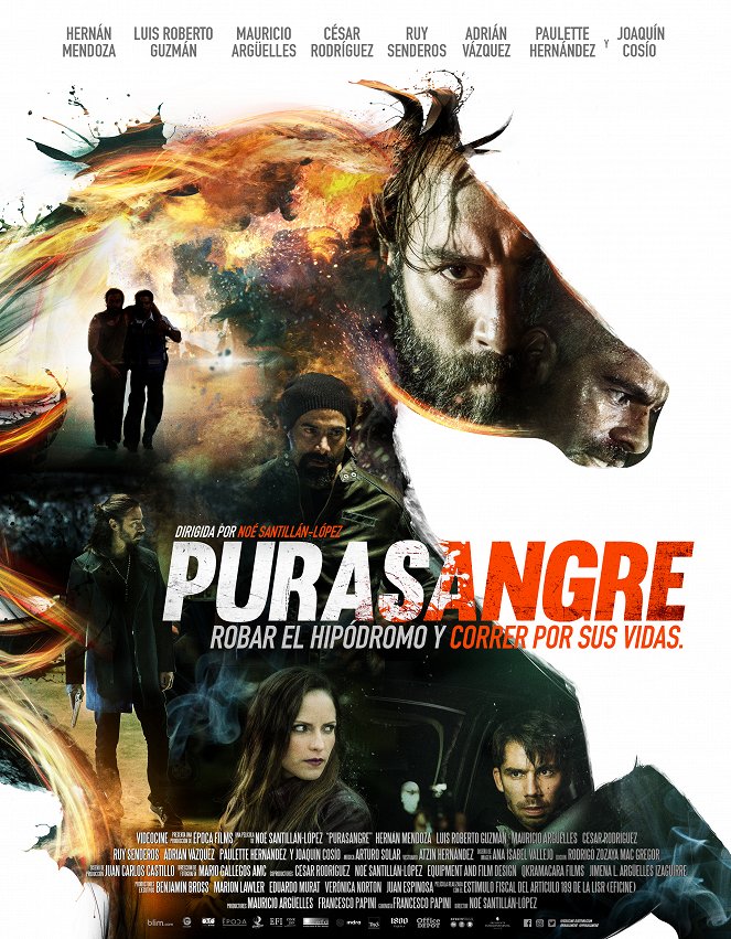 Purasangre - Cartazes