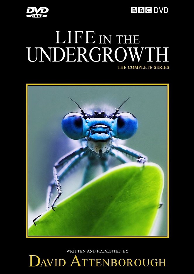 Life in the Undergrowth - Affiches