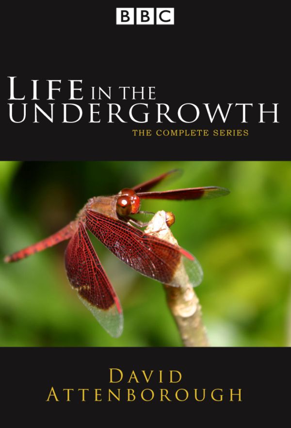 Life in the Undergrowth - Affiches