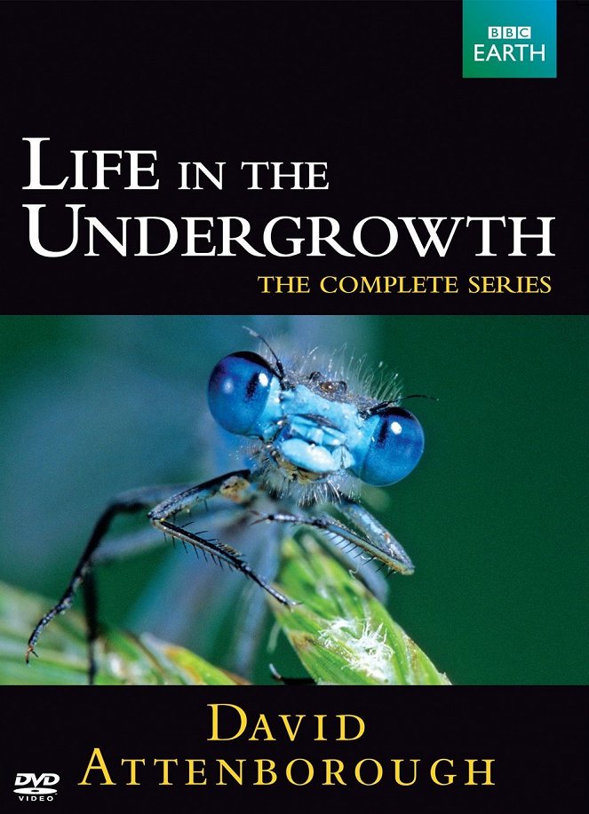 Life in the Undergrowth - Carteles
