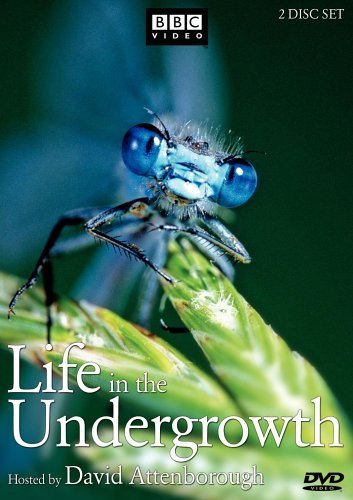 Life in the Undergrowth - Carteles