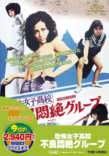 恐怖女子高校　不良悶絶グループ - Affiches