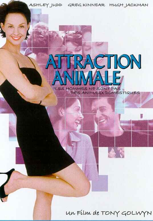 Attraction animale - Affiches