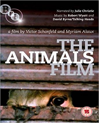 The Animals Film - Plagáty
