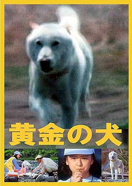 Goro, bílý pes - Plakáty