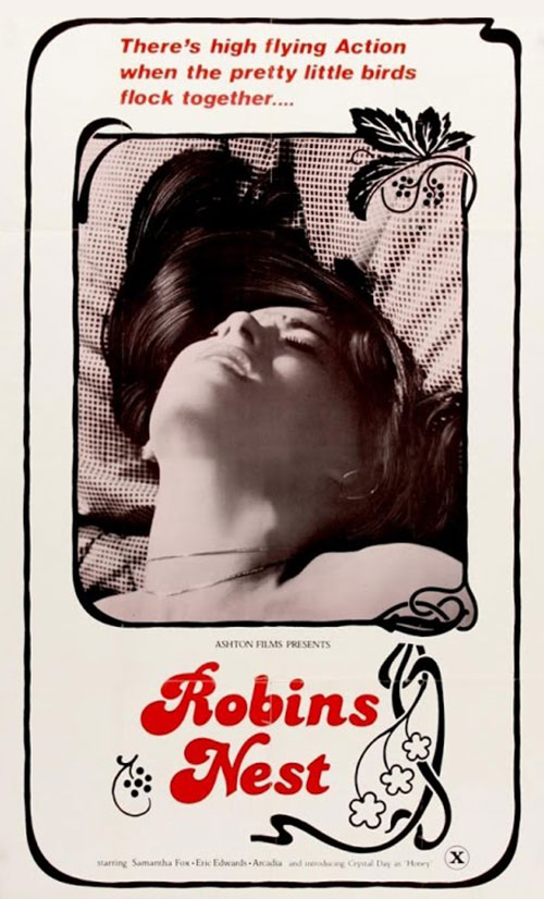 Robin's Nest - Plagáty
