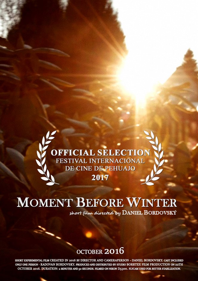 Moment Before Winter - Posters