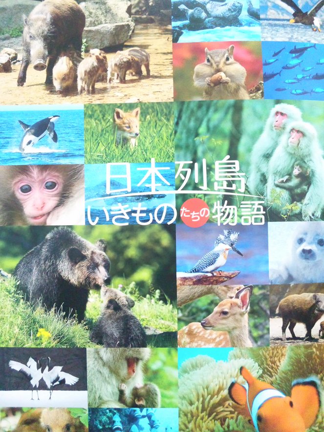 日本列島 いきものたちの物語 - Plakáty