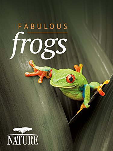A természeti világ - A természeti világ - Attenborough's Fabulous Frogs - Plakátok