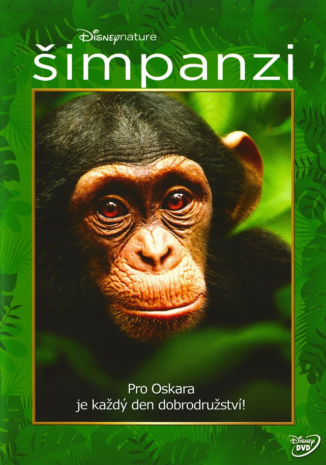 Šimpanzi - Plakáty