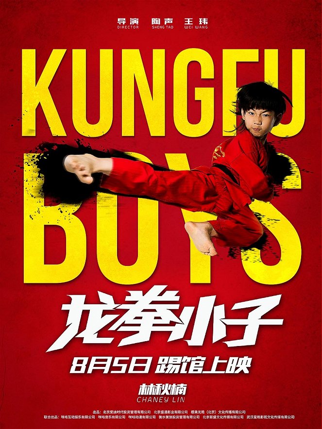 Kungfu Boys - Carteles