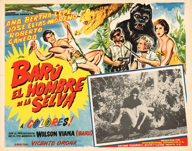 Barú, el hombre de la selva - Plakate