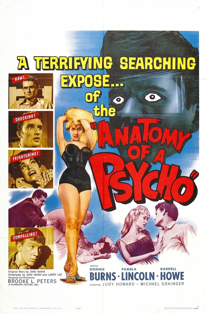 Anatomy of a Psycho - Affiches