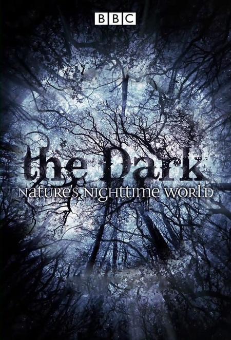 The Dark: Nature's Nighttime World - Julisteet
