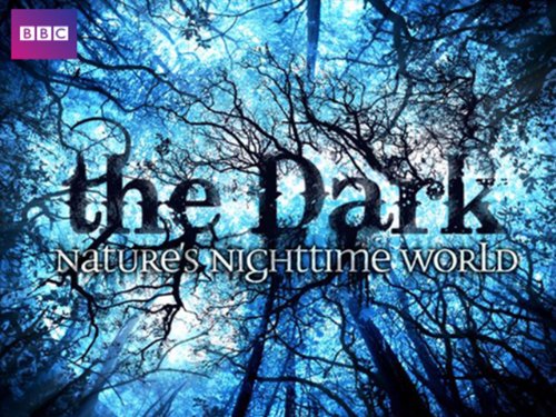 The Dark: Nature's Nighttime World - Plakaty