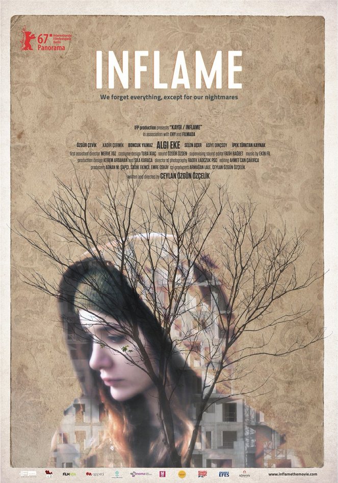 Inflame - Posters