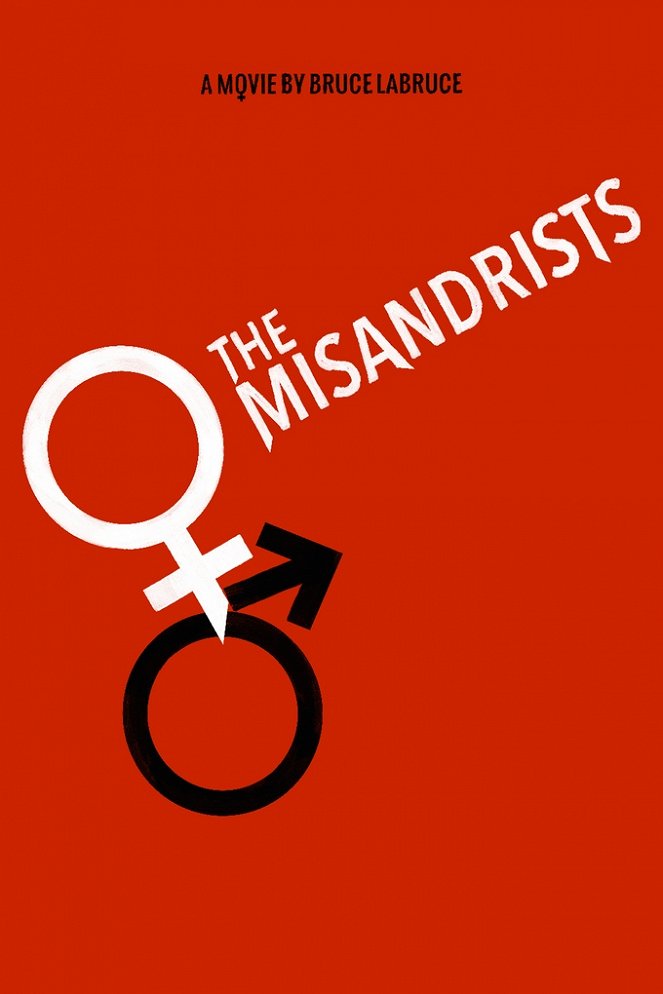 Die Misandristinnen - Plakate
