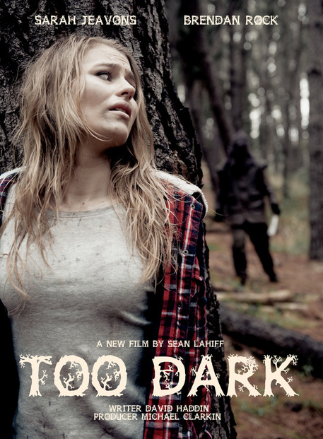 Too Dark - Posters