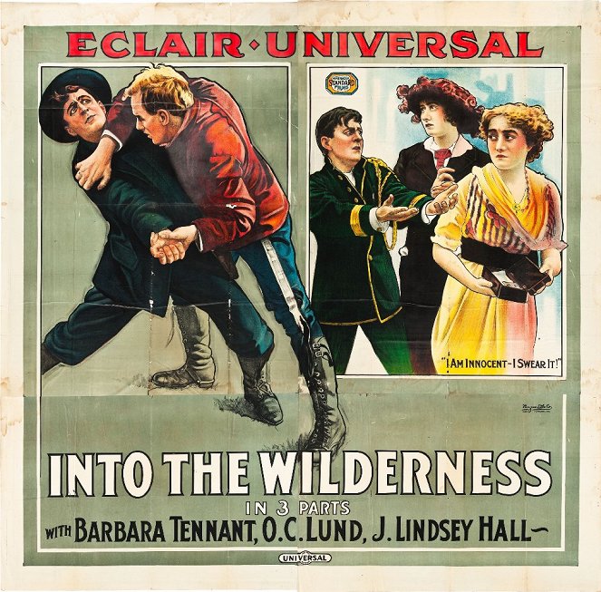 Into the Wilderness - Posters
