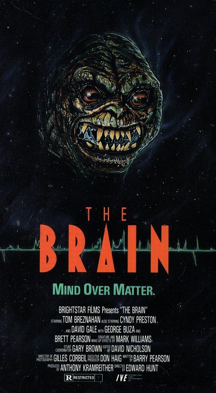 Das Gehirn - Plakate