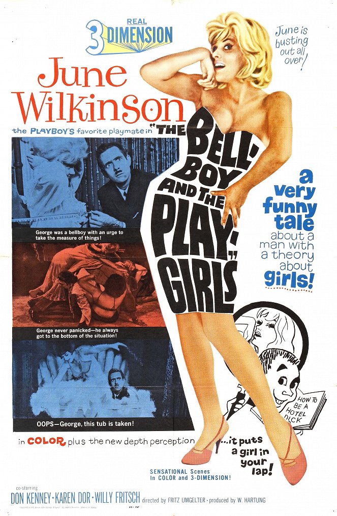 The Bellboy and the Playgirls - Posters
