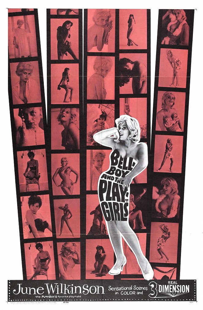 The Bellboy and the Playgirls - Affiches