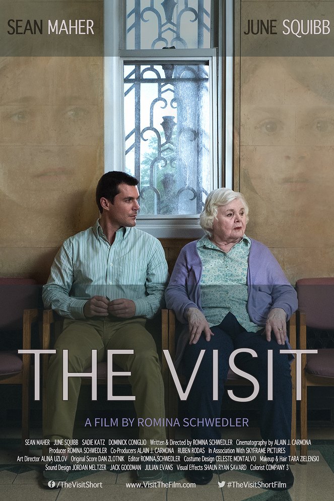 The Visit - Plakate