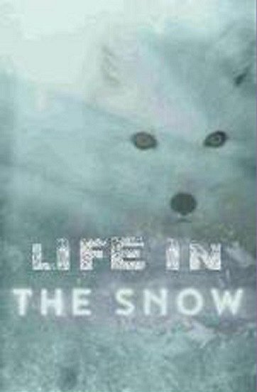 Life in the Snow - Cartazes