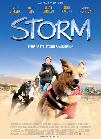 Storm - Plakate
