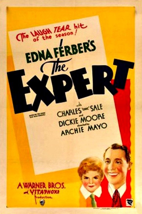 The Expert - Cartazes
