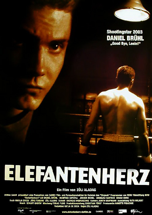 Elefantenherz - Plakate