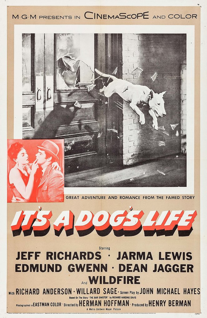 It's a Dog's Life - Affiches