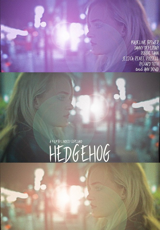 Hedgehog - Plakate