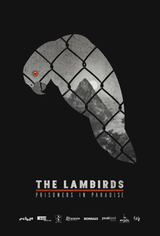 The Lambirds - Plakáty
