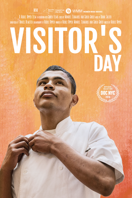 Visitor's Day - Affiches