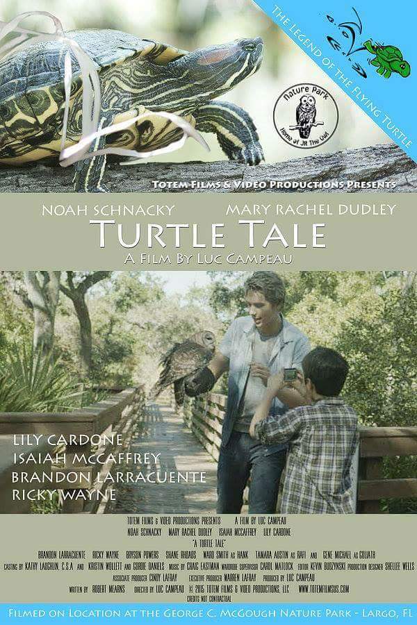 Turtle Tale - Plakaty