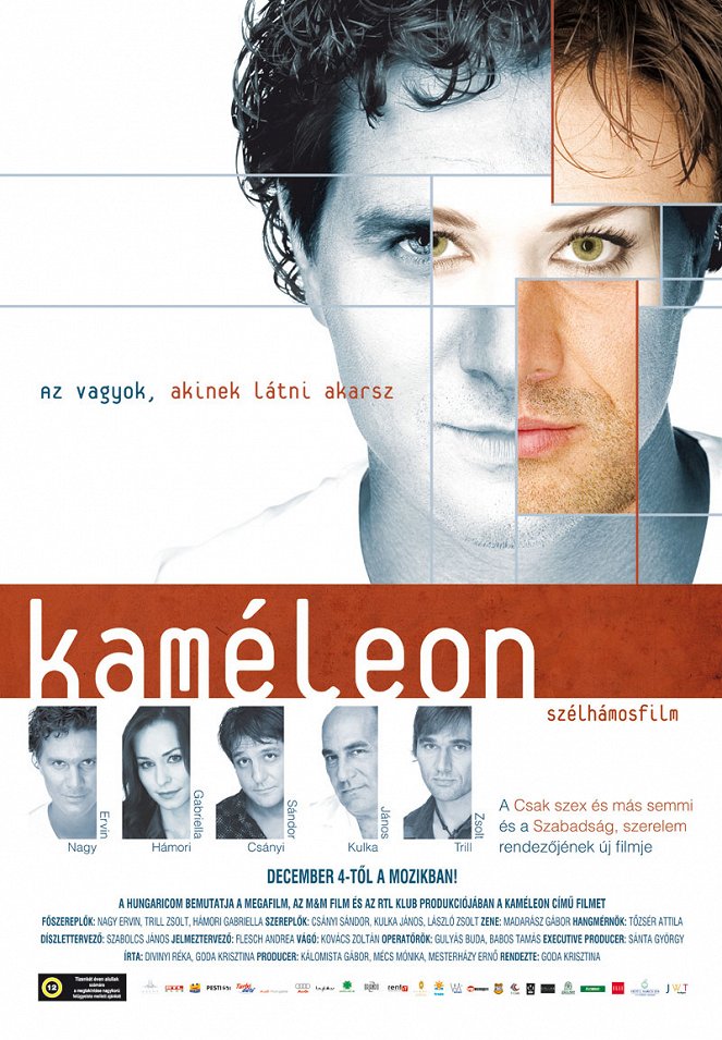Kaméleon - Posters