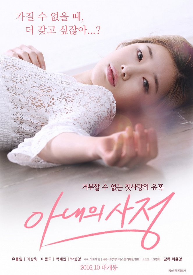 Anaeeui sajeong - Plakate