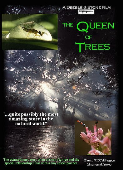 The Natural World - The Queen of Trees - Posters