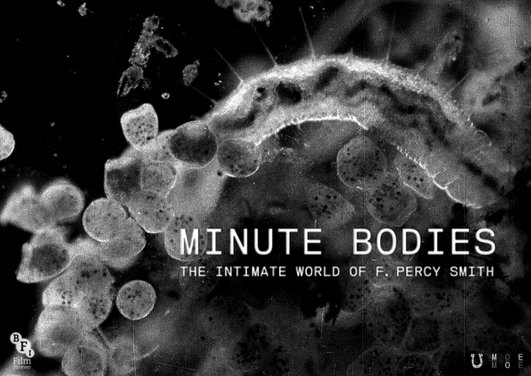 Minute Bodies: The Intimate World of F. Percy Smith - Julisteet